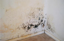Water Proofing