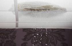 Water Proofing